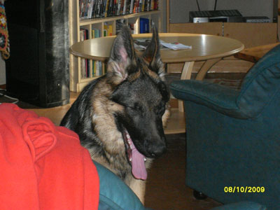 2009-marraskuu-073.jpg