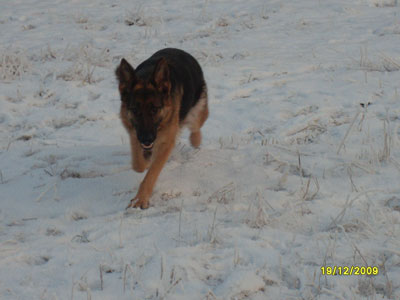 2009-marraskuu-158.jpg