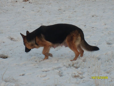 2009-marraskuu-159.jpg
