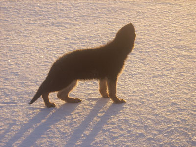 Tammikuu-2008-044.jpg