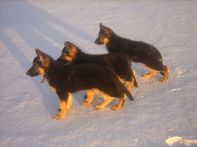 Tammikuu-2008-045.jpg
