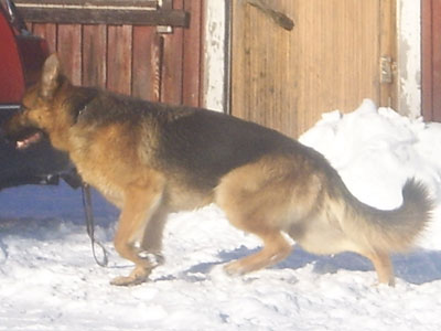 Tammikuu-2008-061.jpg