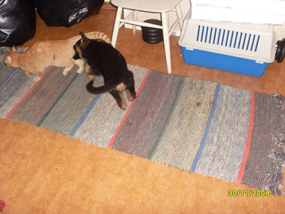marraskuu-2008-038.jpg