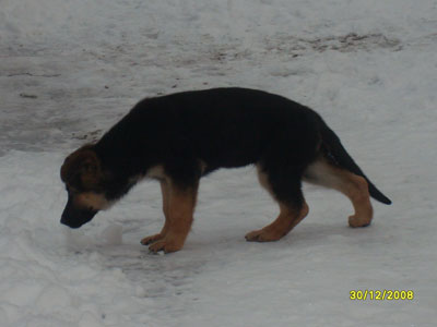 marraskuu-2008-079.jpg