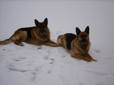 uusivuosi-2006-042.jpg